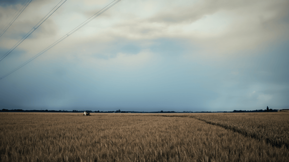 Près du coeur